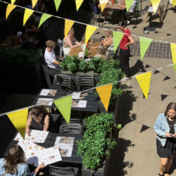 23 - Christopher Place