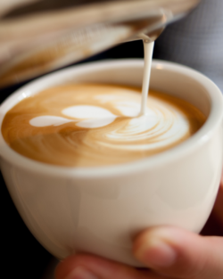 48 - Christopher Place